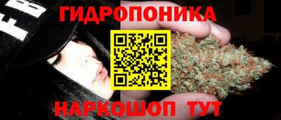 гидра Бузулук
