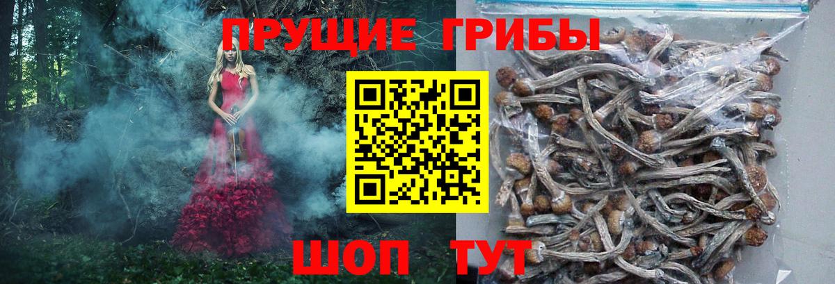 Галлюциногенные грибы MAGIC MUSHROOMS Темрюк